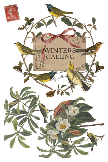 Winter's Calling - 8 Sheet, 8x12 Pad IOD Decor Transfer™ 2026 Limited