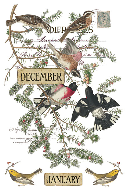 Winter's Calling - 8 Sheet, 8x12 Pad IOD Decor Transfer™ 2026 Limited