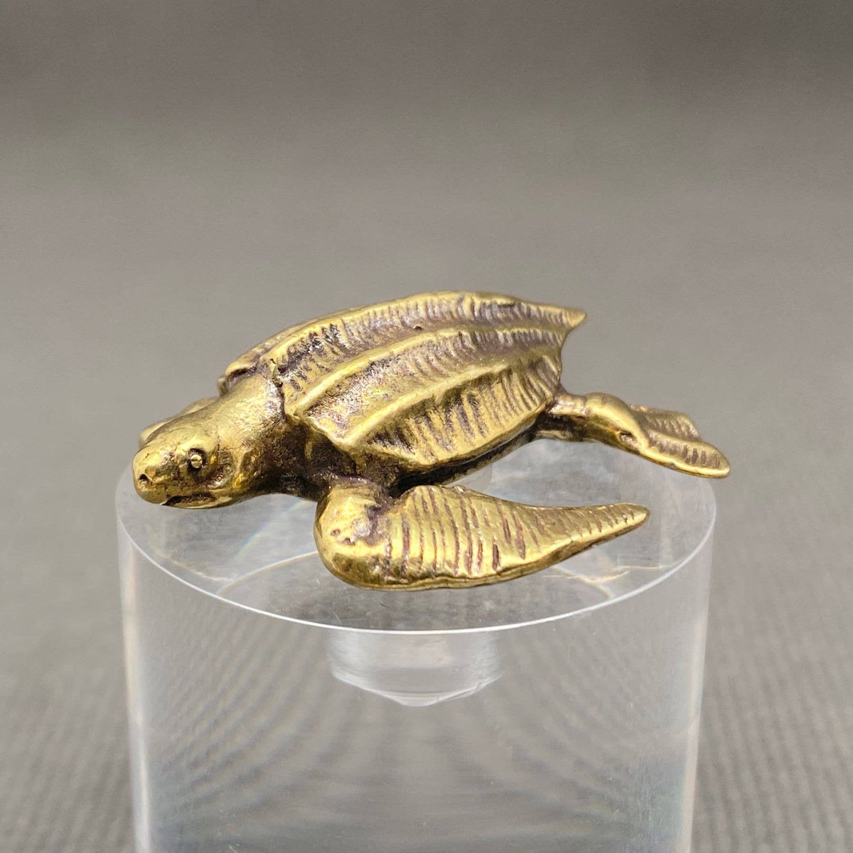 Sea Turtle Bronzed Trinket 67534