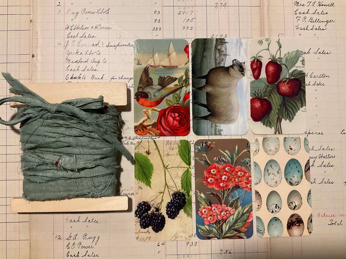 Eucalyptus Sea View 6-Tag & Ribbon Set