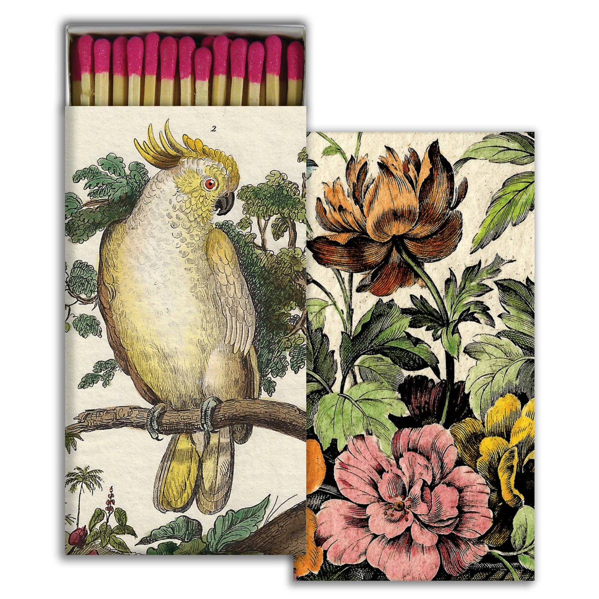 Cockatoo - Match Box