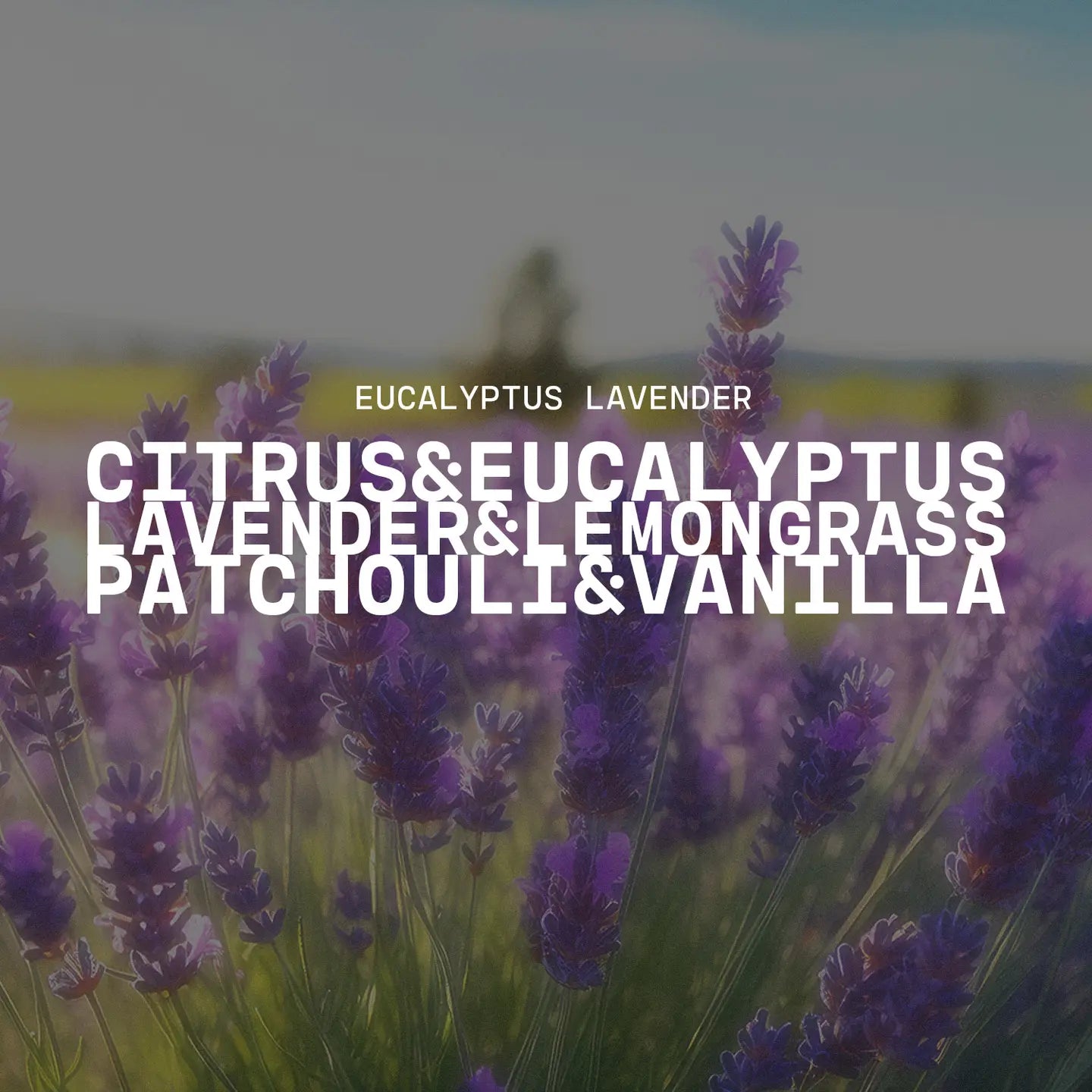 Eucalyptus Lavender 9lb Large Galvanized Tub - Milkhouse Candle Company