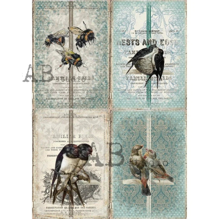 Birds and Bee Vintage Cards 1151 - A4 8.3 x 11.7 Rice Paper by AB Studio