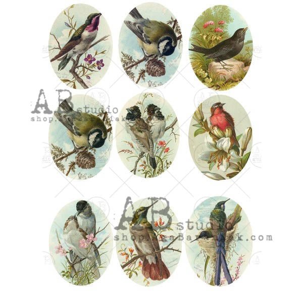 Birds of Nature Medallions 0564  - A4 8.3 x 11.7 Rice Paper by AB Studio
