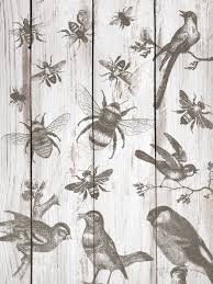 Birds & Bees ~ IOD Decor Stamp