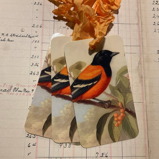 Oriole 3pk Tag & Ribbon Set
