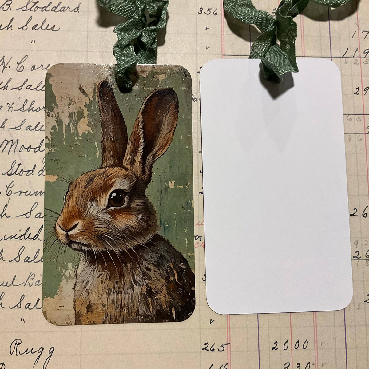 Green Rabbit 3pk Tag & Ribbon Set