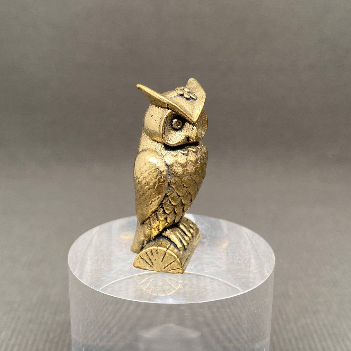 Perched Owl Bronzed Trinket 70435