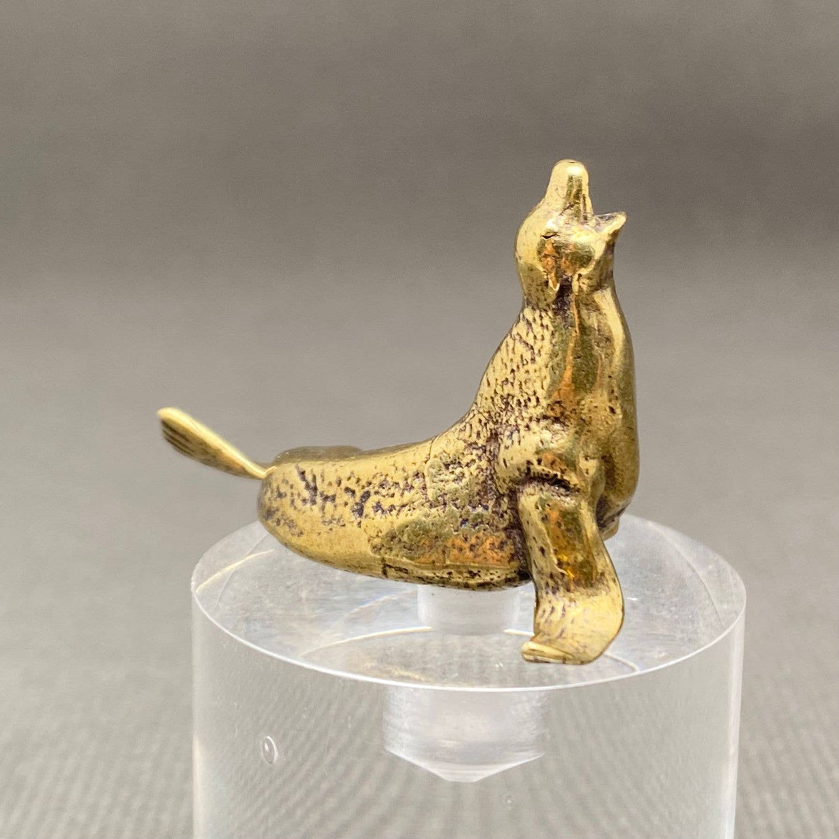 Sea Lion Bronzed Trinket