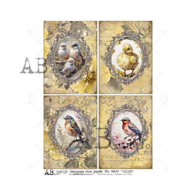 Vintage Frames Birds & Chicks 4599 - A4 8.3 x 11.7 Rice Paper by AB Studio