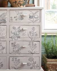 Botanical Drawings  27.6"x 18.9" - Decoupage Paper by Annie Sloan®