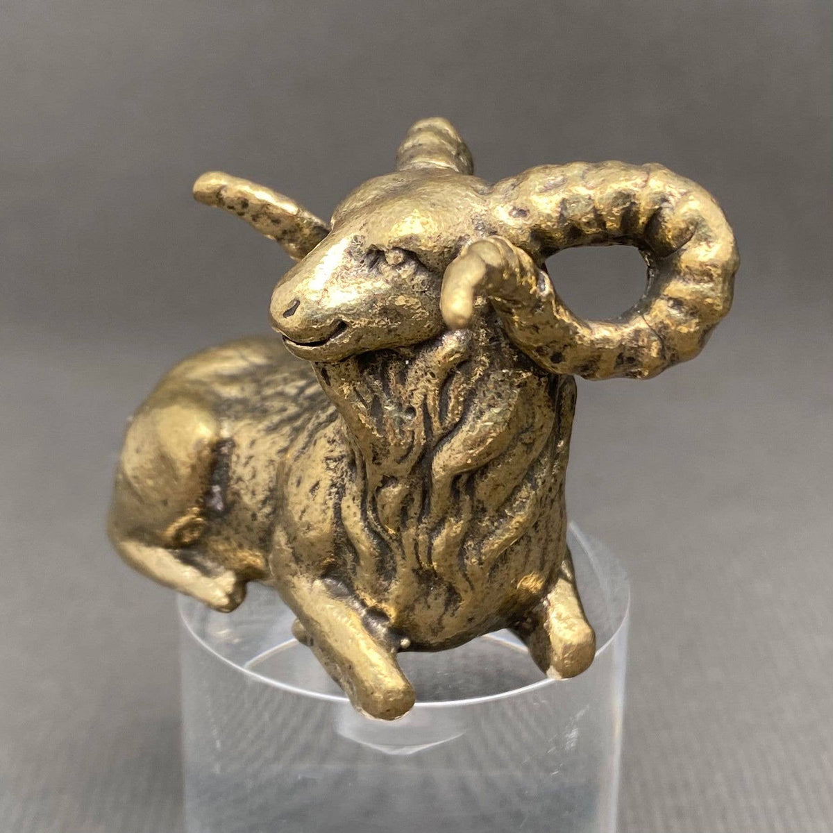 Ram Bronzed Trinket 68121