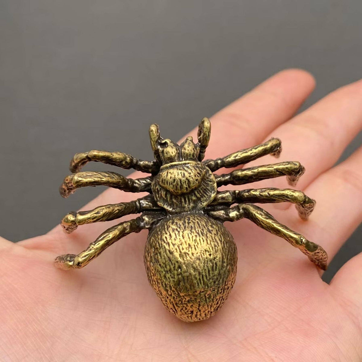 Spider Bronzed Trinket 66395