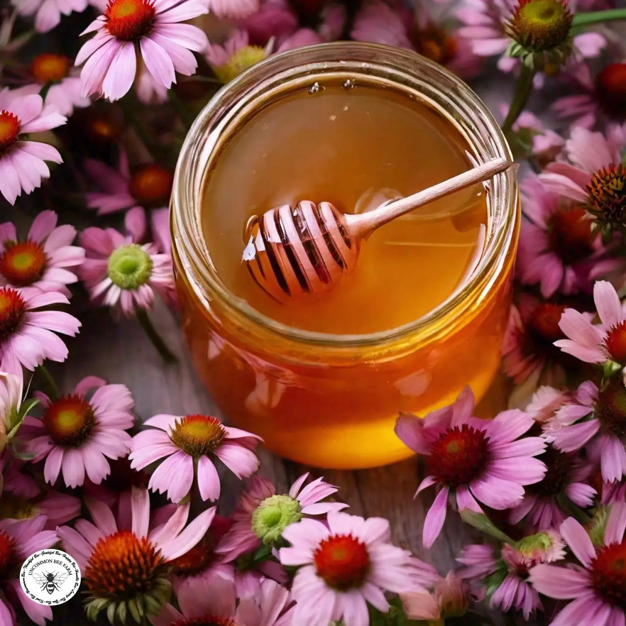 Echinacea Infused Honey 5oz Jar