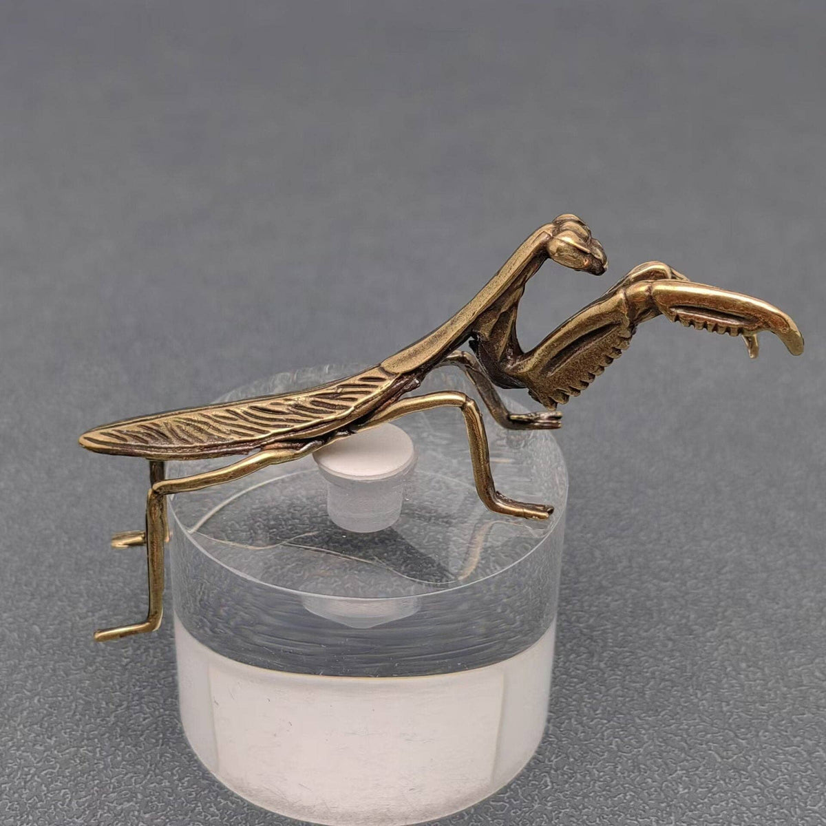 Mantis Bronzed Trinket 62630