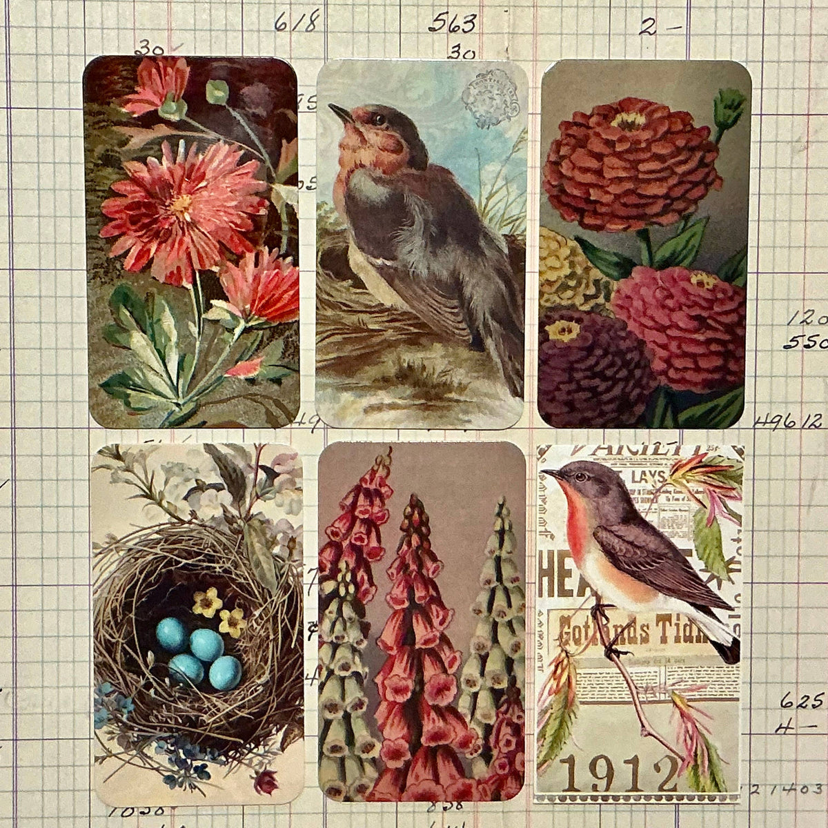 Cranberry Mum 6-Tag & Ribbon Set