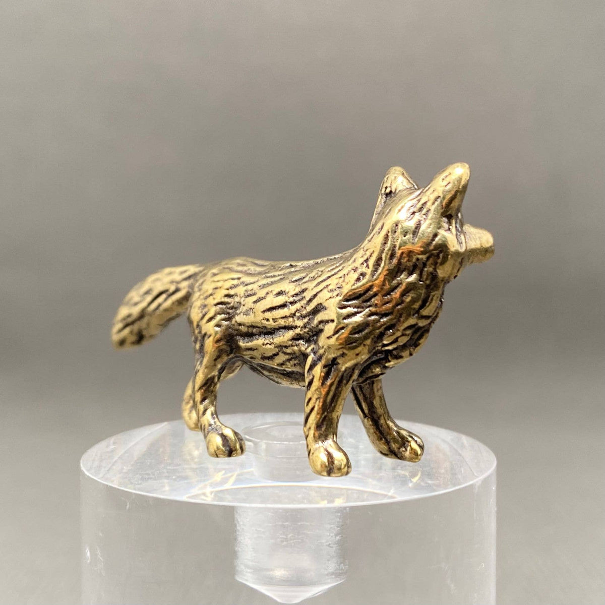 Fox Bronzed Trinket 67537
