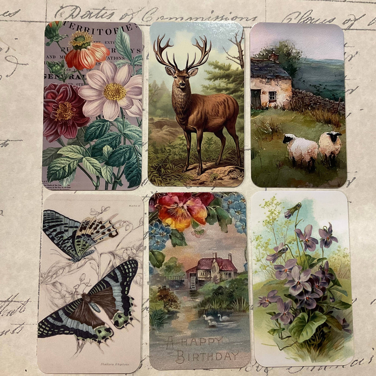 Mint Flower Label 6-Tag & Ribbon Set