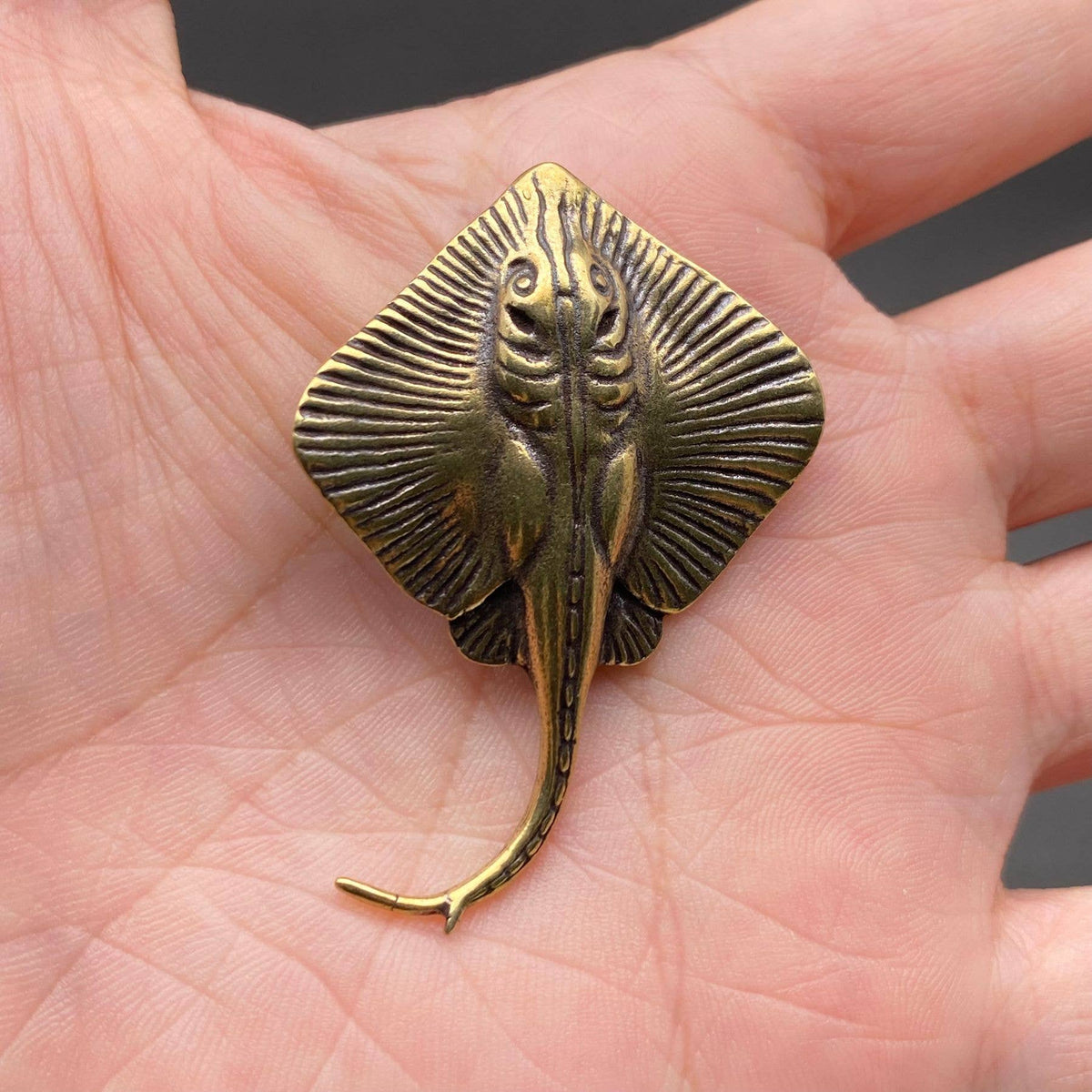 Devil Ray Bronzed Trinket 67548