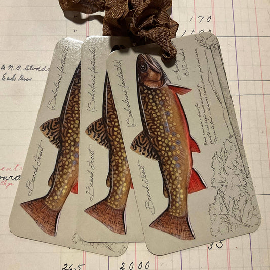 Brown Trout 3pk Tag & Ribbon Set