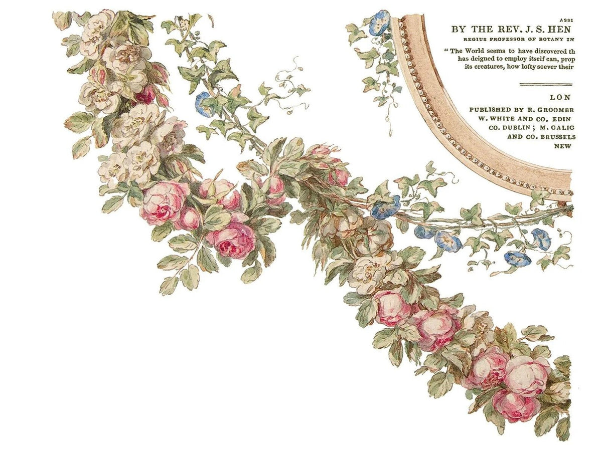 The Botanist - 4-Sheet, 12x16 Pad IOD Decor Transfer™
