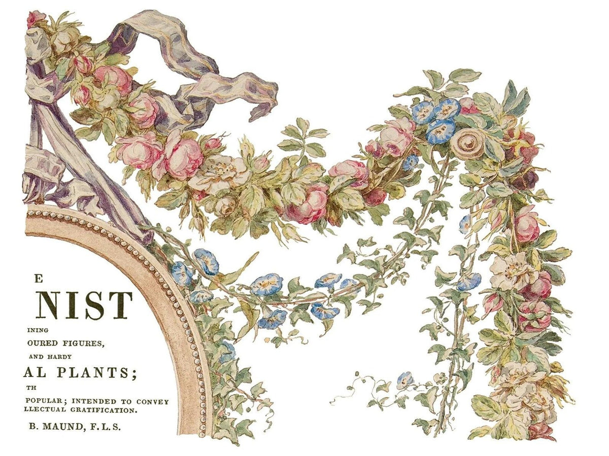 The Botanist - 4-Sheet, 12x16 Pad IOD Decor Transfer™