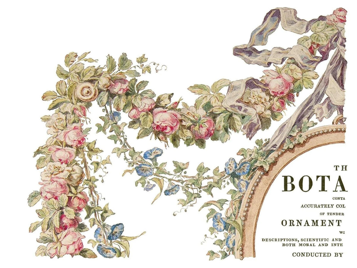 The Botanist - 4-Sheet, 12x16 Pad IOD Decor Transfer™