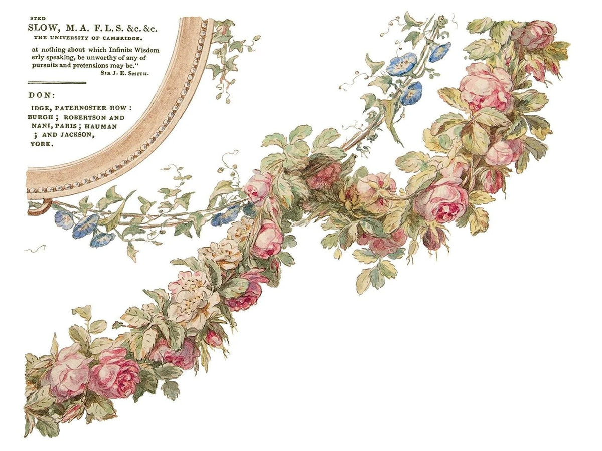The Botanist - 4-Sheet, 12x16 Pad IOD Decor Transfer™