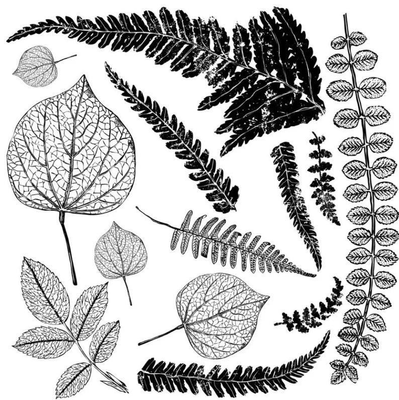 Fronds - IOD Decor Stamp