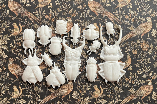Specimens 2024 - Casted Resin Applique Set