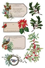 Winter Botanist - 8 Sheet, 8x12 Pad IOD Decor Transfer™