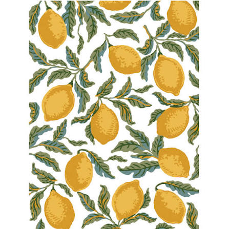 Portofino - 8 Sheet, 12x16 Pad IOD Paint Inlay