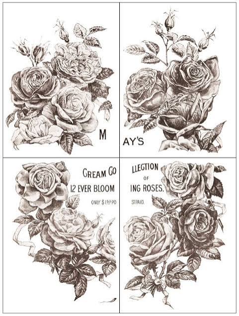 May Roses - 4-Sheet, 12x16 Pad IOD Decor Transfer™