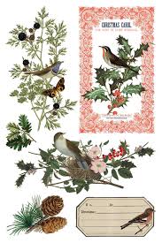 Winter Botanist - 8 Sheet, 8x12 Pad IOD Decor Transfer™