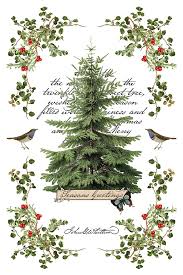 Winter Botanist - 8 Sheet, 8x12 Pad IOD Decor Transfer™