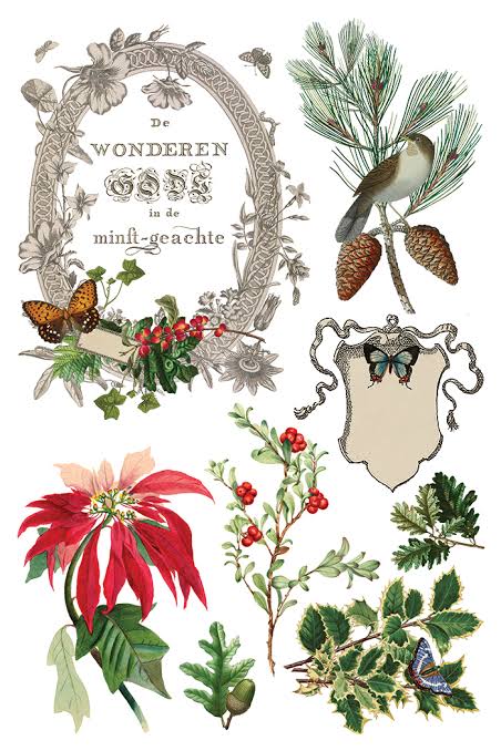 Winter Botanist - 8 Sheet, 8x12 Pad IOD Decor Transfer™