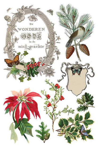Winter Botanist - 8 Sheet, 8x12 Pad IOD Decor Transfer™