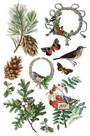 Winter Botanist - 8 Sheet, 8x12 Pad IOD Decor Transfer™