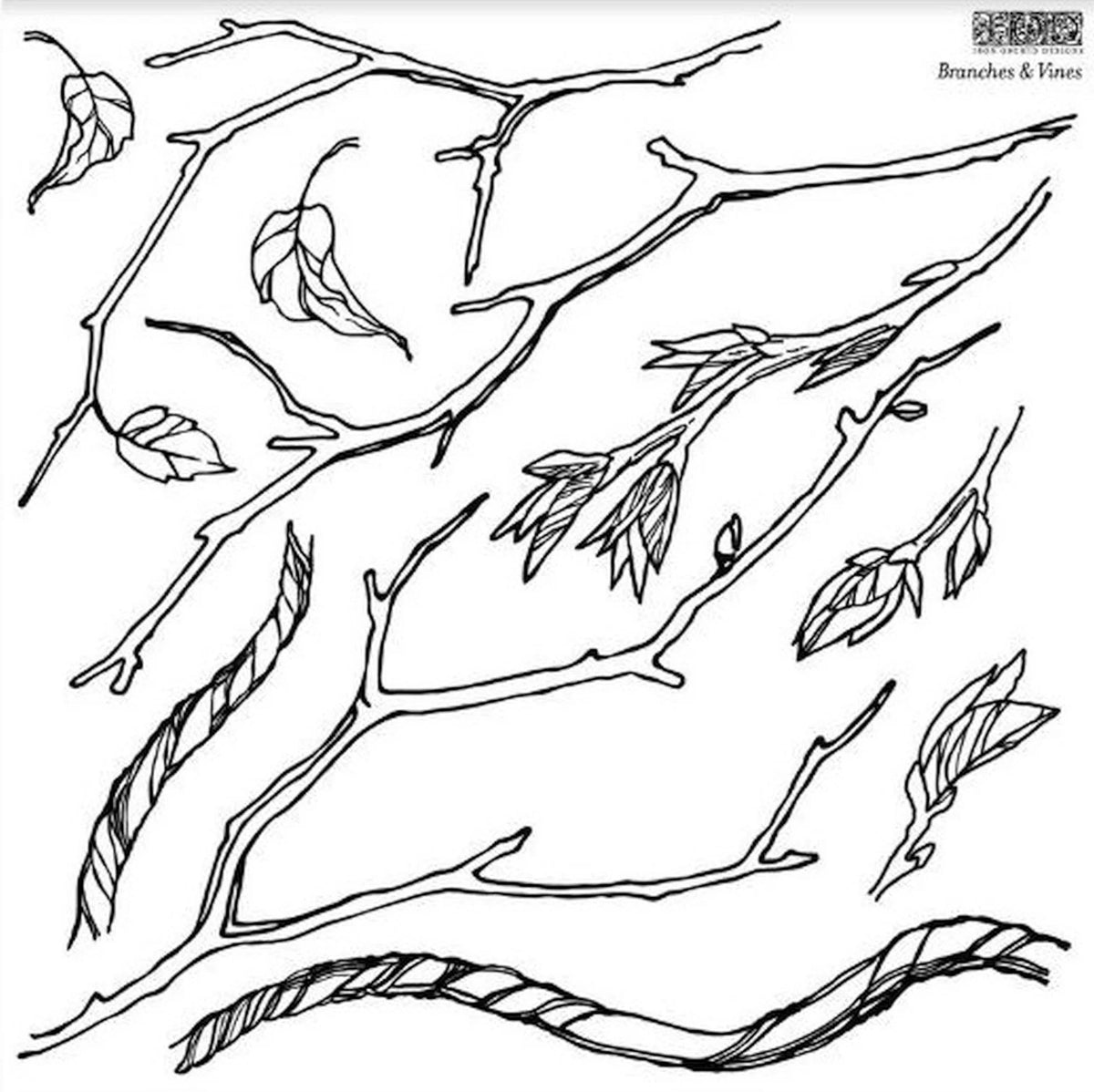 Branches & Vines - IOD Decor Stamp