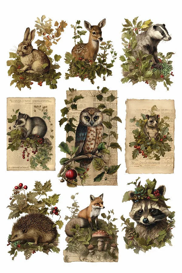 Holly Glen - 8 Sheet, 8x12 Pad IOD Decor Transfer™ 2023