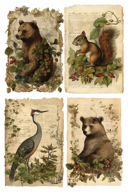 Holly Glen - 8 Sheet, 8x12 Pad IOD Decor Transfer™ 2023