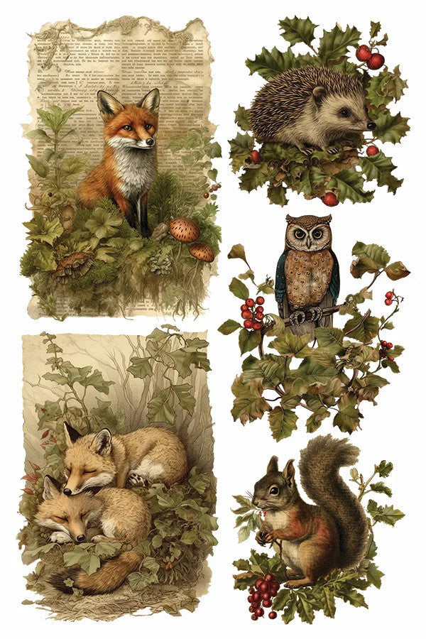 Holly Glen - 8 Sheet, 8x12 Pad IOD Decor Transfer™ 2023