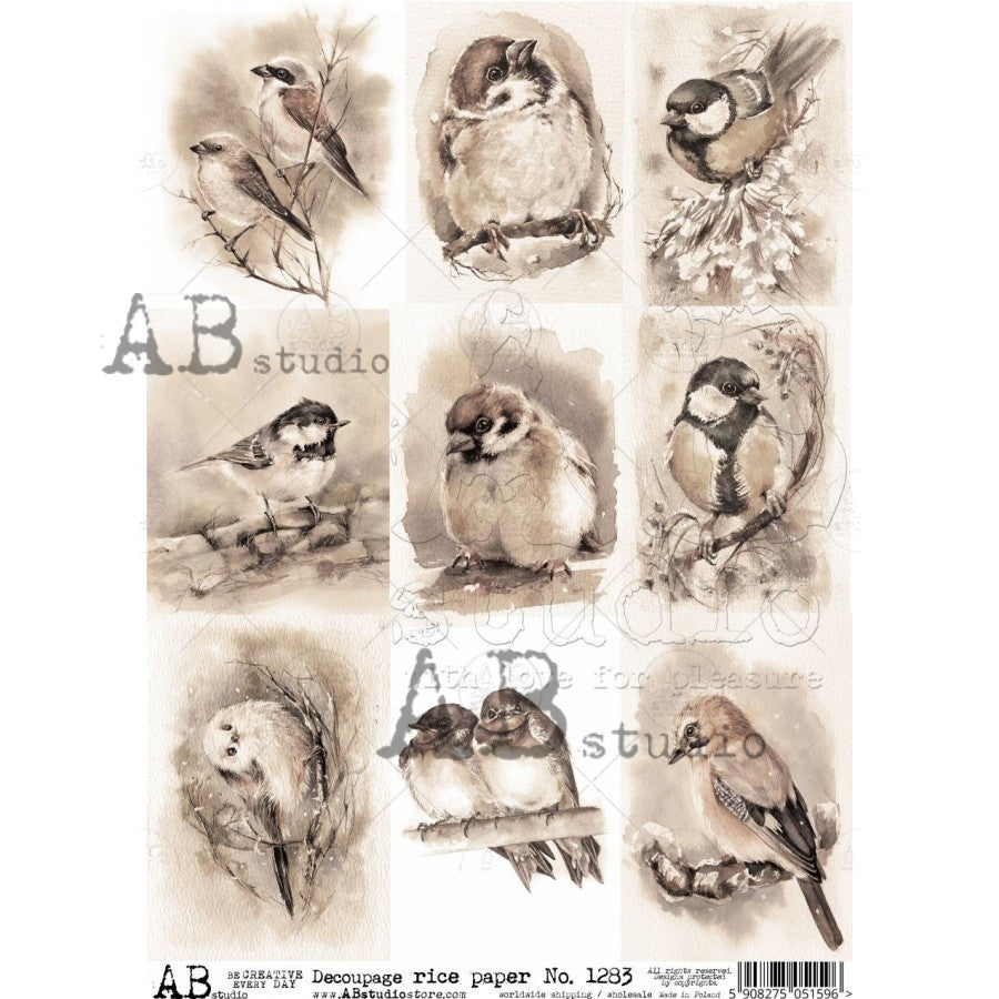 Sepia Birds 1283 - A4 8.3 x 11.7 Rice Paper by AB Studio