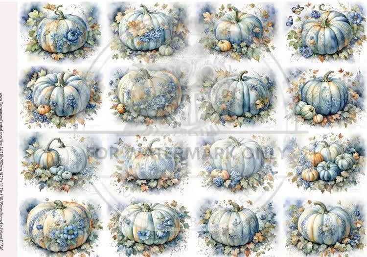 Blue Pumpkins Bloom DC840 - A4 8.3 x 11.7 Rice Paper by ITD Collection