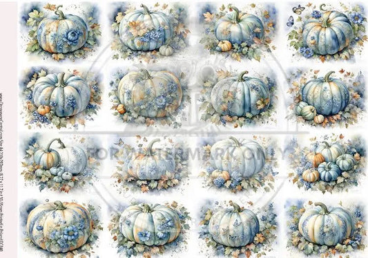 Blue Pumpkins Bloom DC840 - A4 8.3 x 11.7 Rice Paper by ITD Collection
