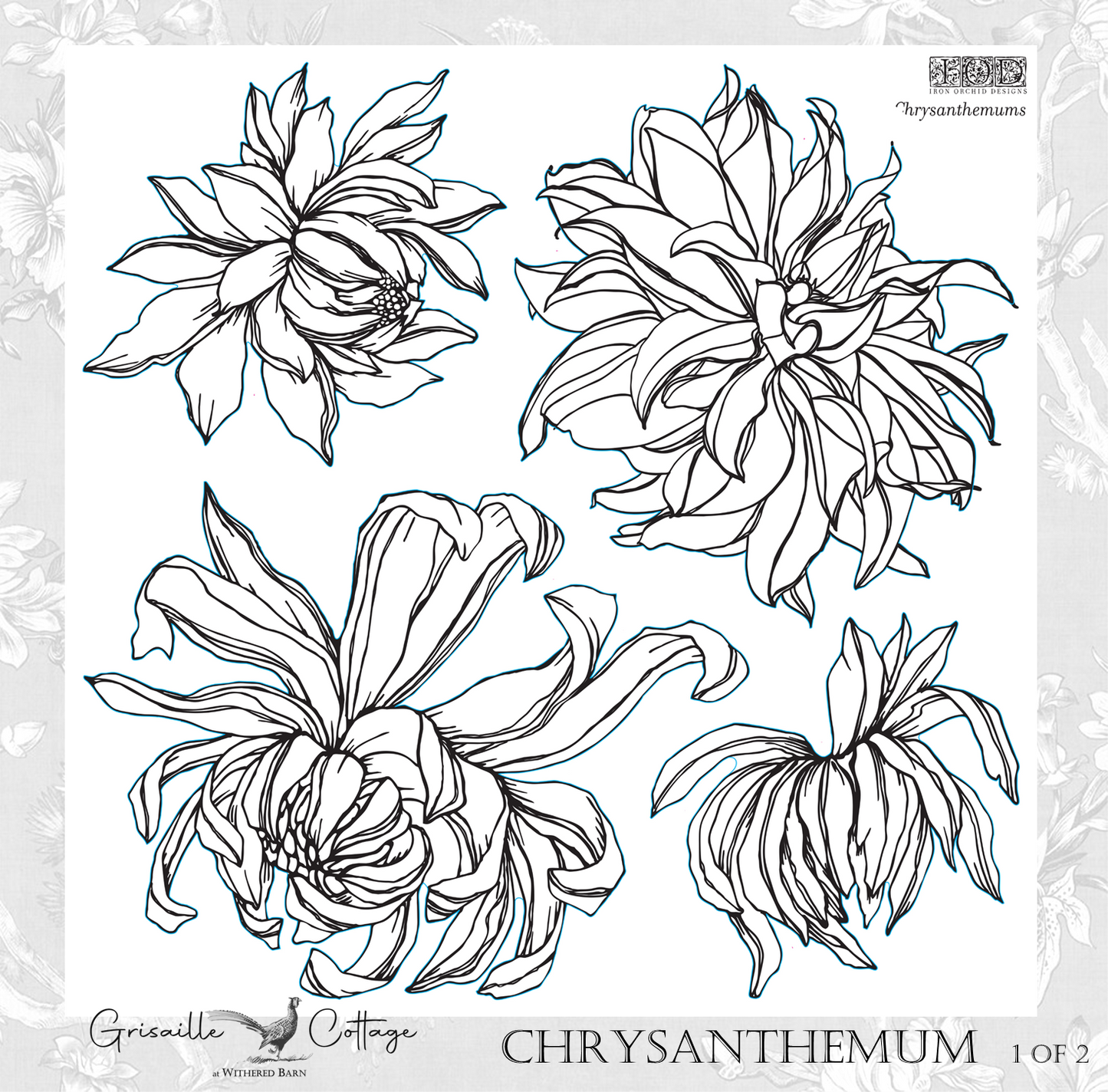 Chrysanthemums 2-Sheet - IOD Decor Stamp