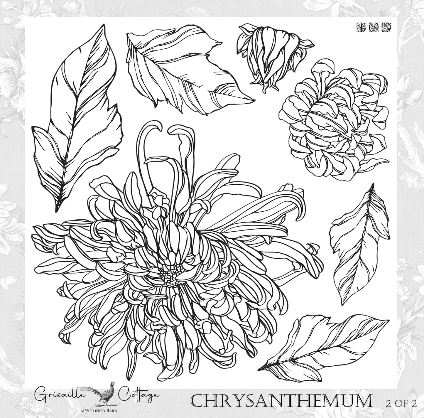 Chrysanthemums 2-Sheet - IOD Decor Stamp