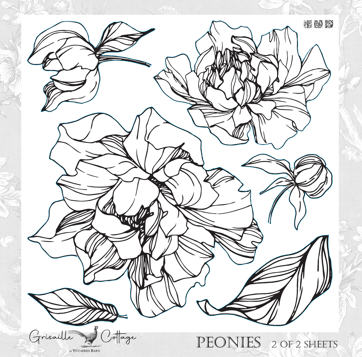 Peonies 2-Sheet ~-IOD Decor Stamp