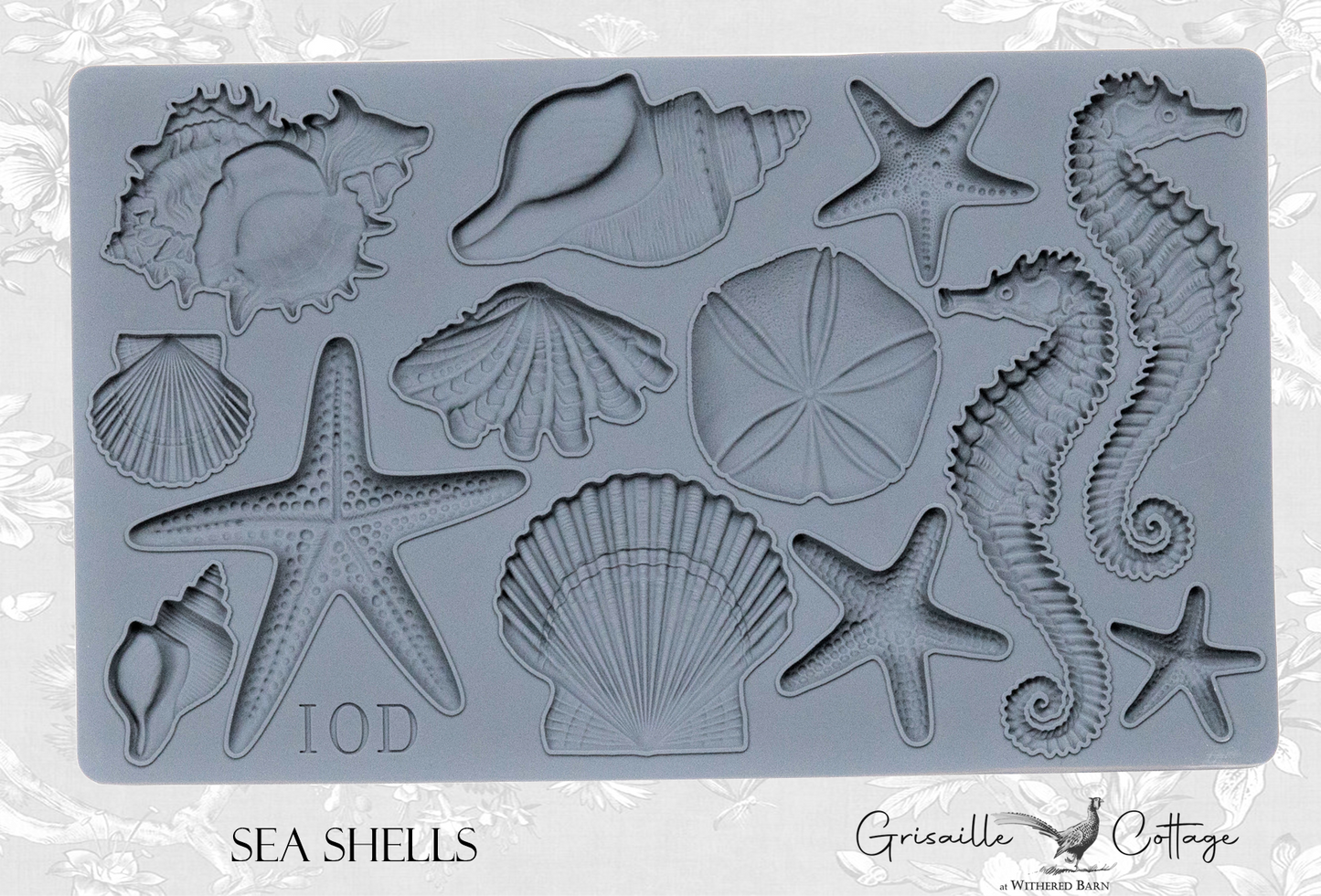 Sea Shells - IOD Decor Mould