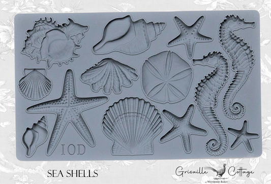 Sea Shells - IOD Decor Mould